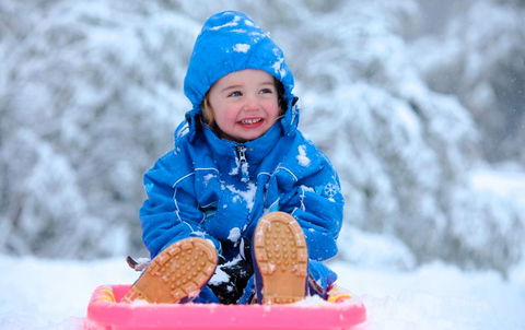 Frueauf Village - Accommodation Noosa 41