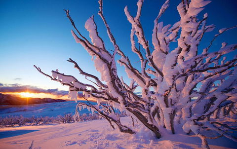 Frueauf Village - Accommodation Noosa 11