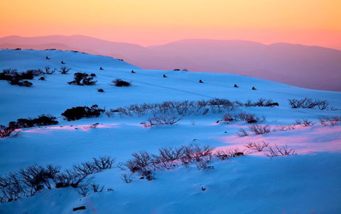 Frueauf Village - Accommodation Noosa 43