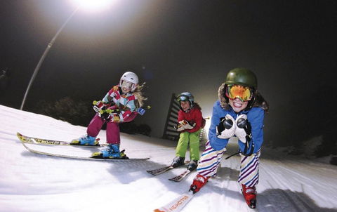 Frueauf Village - Accommodation Noosa 14