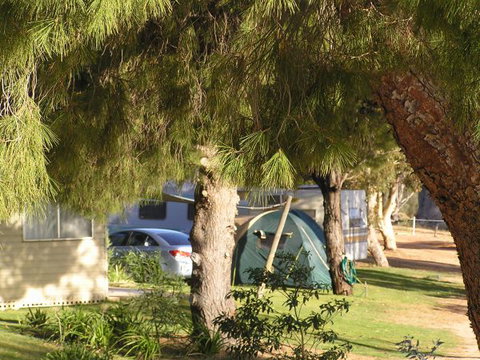 Barmera North Lake Caravan Park - Accommodation Noosa 0