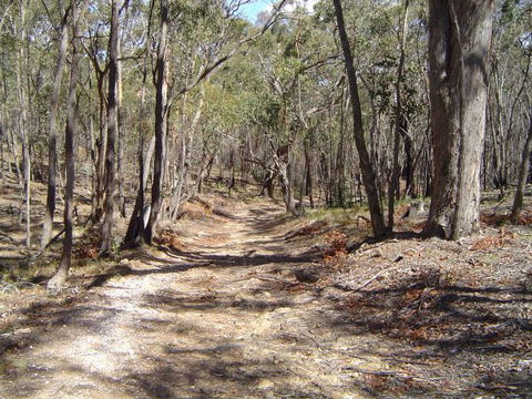 Bushmans Lookout - Accommodation Noosa 3