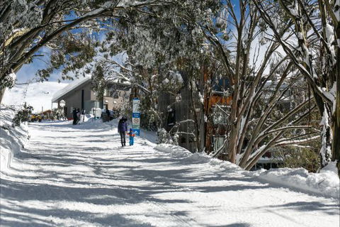 Frueauf Village - Accommodation Noosa 5