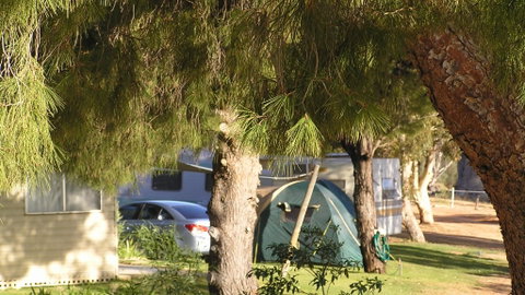 Barmera North Lake Caravan Park - Accommodation Noosa 4