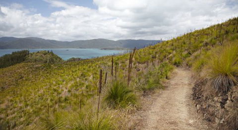 Molle Island National Park (Whitsundays National Park) Camping Ground - Accommodation Noosa 2