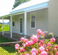 Orange Tree Cottage - Accommodation Noosa
