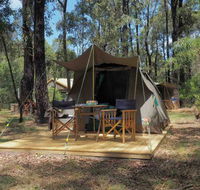 Tall Trees Camping on the Great Ocean Road - Accommodation Noosa