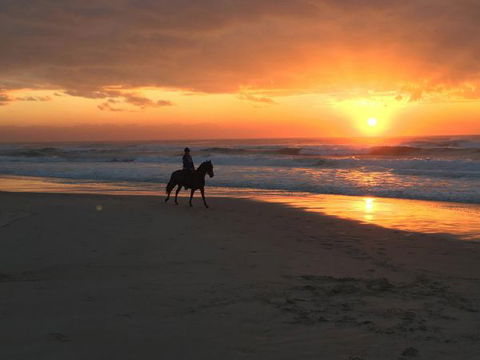 Tassiriki Holiday Cabins - Accommodation Noosa 0