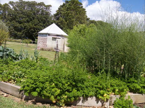 The Old Drik Drik Schoolhouse Retreat - Accommodation Noosa 6
