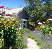 Valley View Cottage - Accommodation Noosa