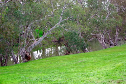 Yalooka Farm - Accommodation Noosa 4