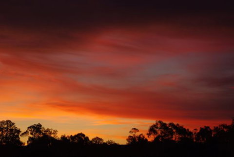 Yalooka Farm - Accommodation Noosa 5
