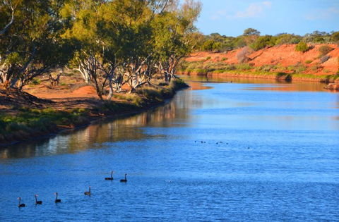 Murchison Oasis Roadhouse, Motel, Caravan Park - Accommodation Noosa 2
