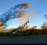 Alfred Motor Inn - Accommodation Noosa