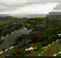 Bellthorpe Stays - Nature's Retreat - Accommodation Noosa