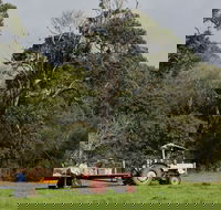 Boronia Farm - Accommodation Noosa