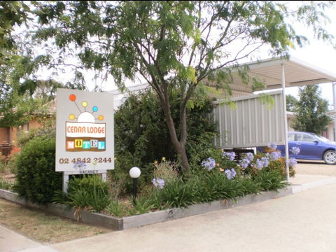 Cedar Lodge Motel - Accommodation Noosa 0