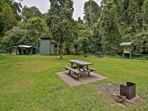 Forest Tops Campground - Accommodation Noosa 0