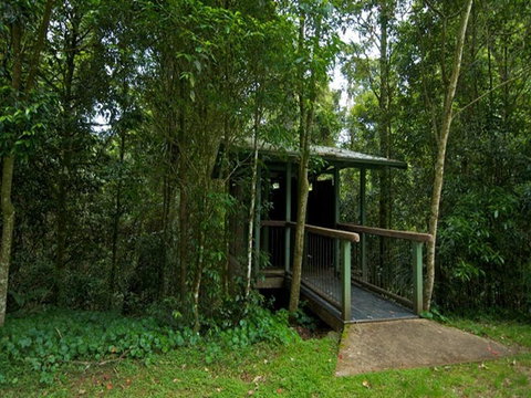 Forest Tops Campground - Accommodation Noosa 2