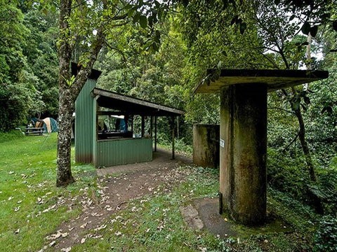 Forest Tops Campground - Accommodation Noosa 3