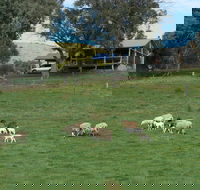 Gaddleen Grove Cottages - Accommodation Noosa