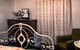 Hamilton Heritage Holiday Homes - McCauley's Cottage - thumb 0