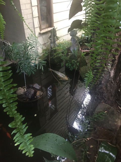 HJapartments - Accommodation Noosa 4