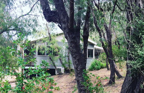 Kangaroo Hollow Preston Beach - Accommodation Noosa 8