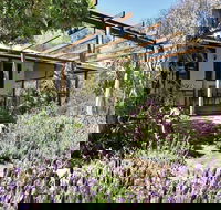 Capertee Homestead - 'Port Macquarie' - Accommodation Noosa