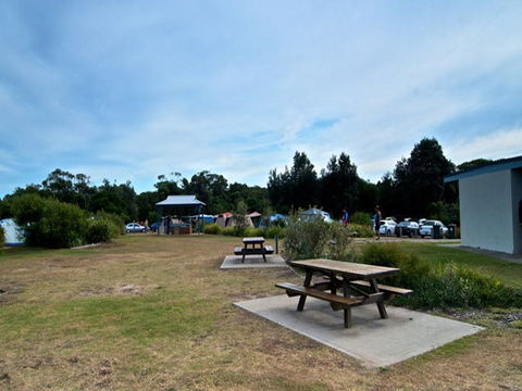 Freemans Campground - Accommodation Noosa 2