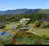 Golden Wattle - Kiaroo - Accommodation Noosa