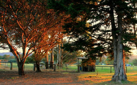 Misty Valley Country Cottages - Accommodation Noosa 0