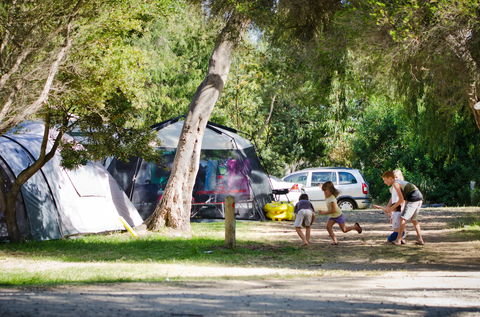 Rosebud Foreshore Camping - Accommodation Noosa 2