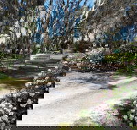 Camawald Coonawarra Cottage BB - Accommodation Noosa