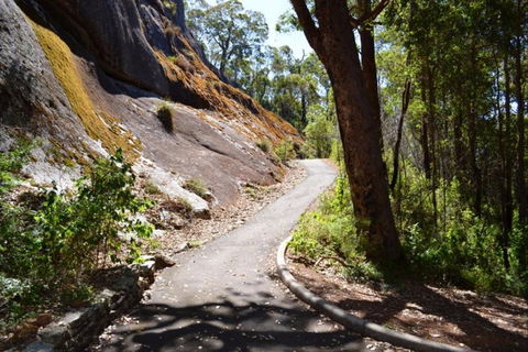 Centre Road Crossing Camp At Mount Frankland South National Park - Accommodation Noosa 0