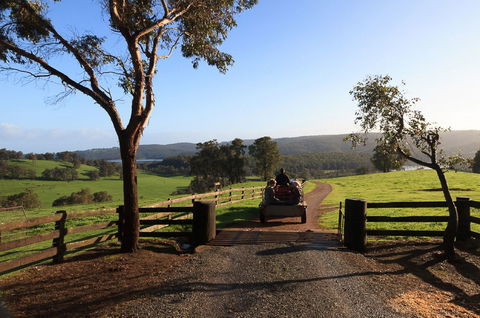 Harvey Hills Farm Stay Chalets - Accommodation Noosa 1