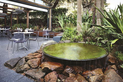 Hotel Urban St Leonards - Accommodation Noosa 0