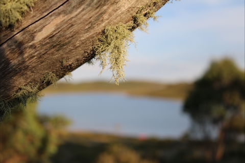 Howmans Gap Alpine Centre YMCA - Accommodation Noosa 2