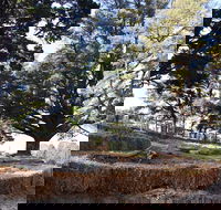 Longwood Retreat - Accommodation Noosa