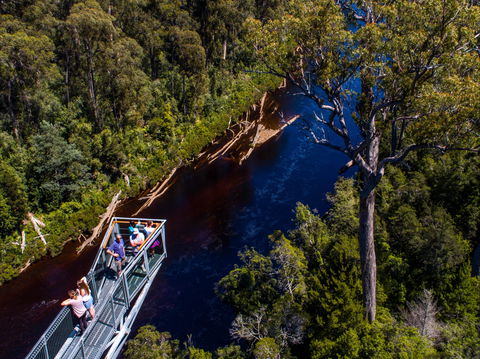 Tahune Adventures Tasmania - Lodge And Cabin - Accommodation Noosa 1