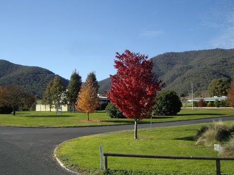 Talbingo Country Club - Accommodation Noosa 1
