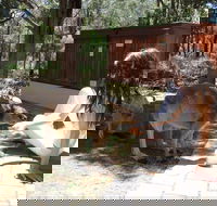 Yelverton Brook Eco Spa Retreat and Conservation Sanctuary - Accommodation Noosa