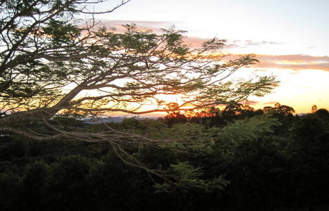 Annie's Place Bed And Breakfast - Accommodation Noosa 0