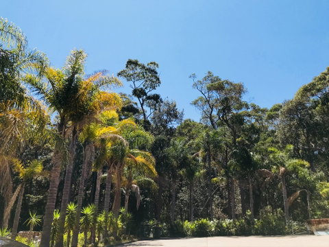 Mollymook Paradise Haven Apartment Motel - Accommodation Noosa 2