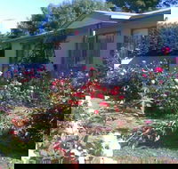 Sea Rose - Accommodation Noosa