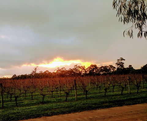 The Grove Distillery And Brewery - Accommodation Noosa 0
