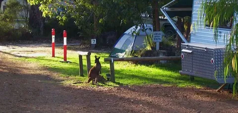 Aroundtu-It Eco Caravan Park - Accommodation Noosa 5