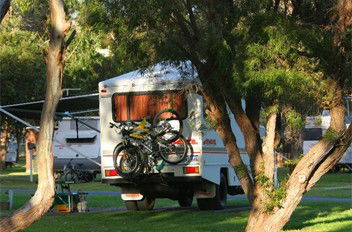 BIG4 Albany Gardens Holiday Resort - Accommodation Noosa 3