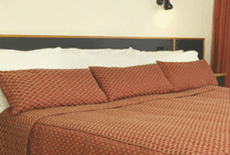 Margarets Forest Holiday Apartments - Accommodation Noosa 0