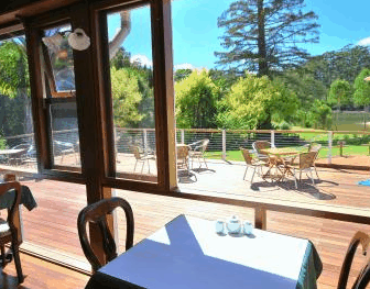 Forest Lodge Resort - Accommodation Noosa 2